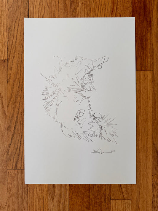 Cat stretch sketch print